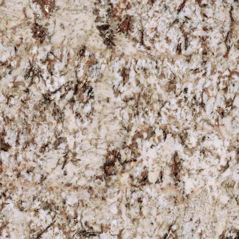 Bianco Antico by Daltile
