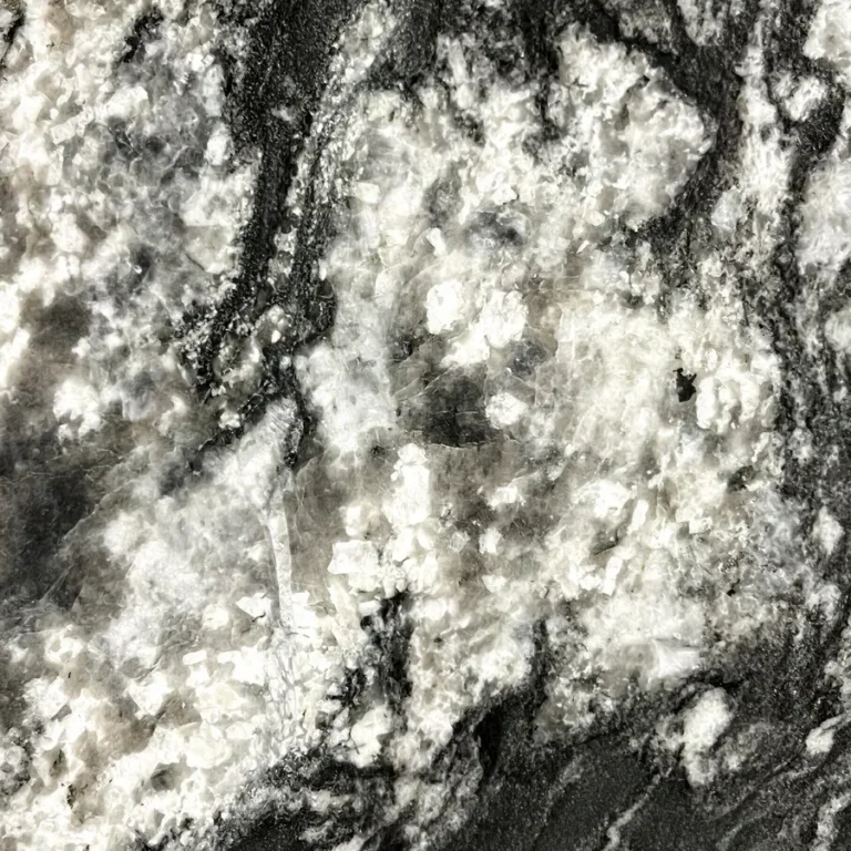 Black Forest by Arc Surfaces