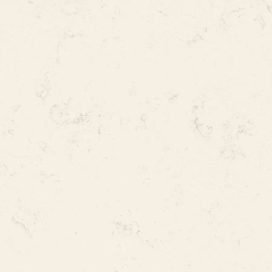 Carrara Pisa by Daltile