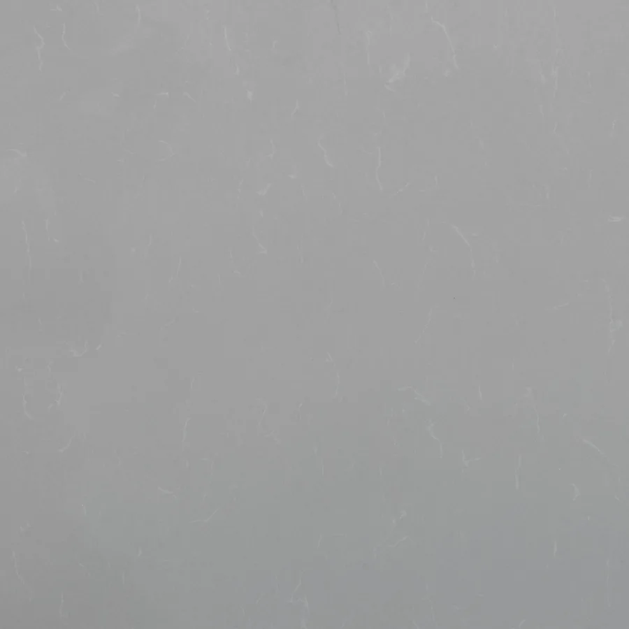 Grey Savoie by Vicostone
