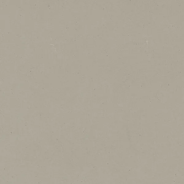 Raw Concrete by Caesarstone